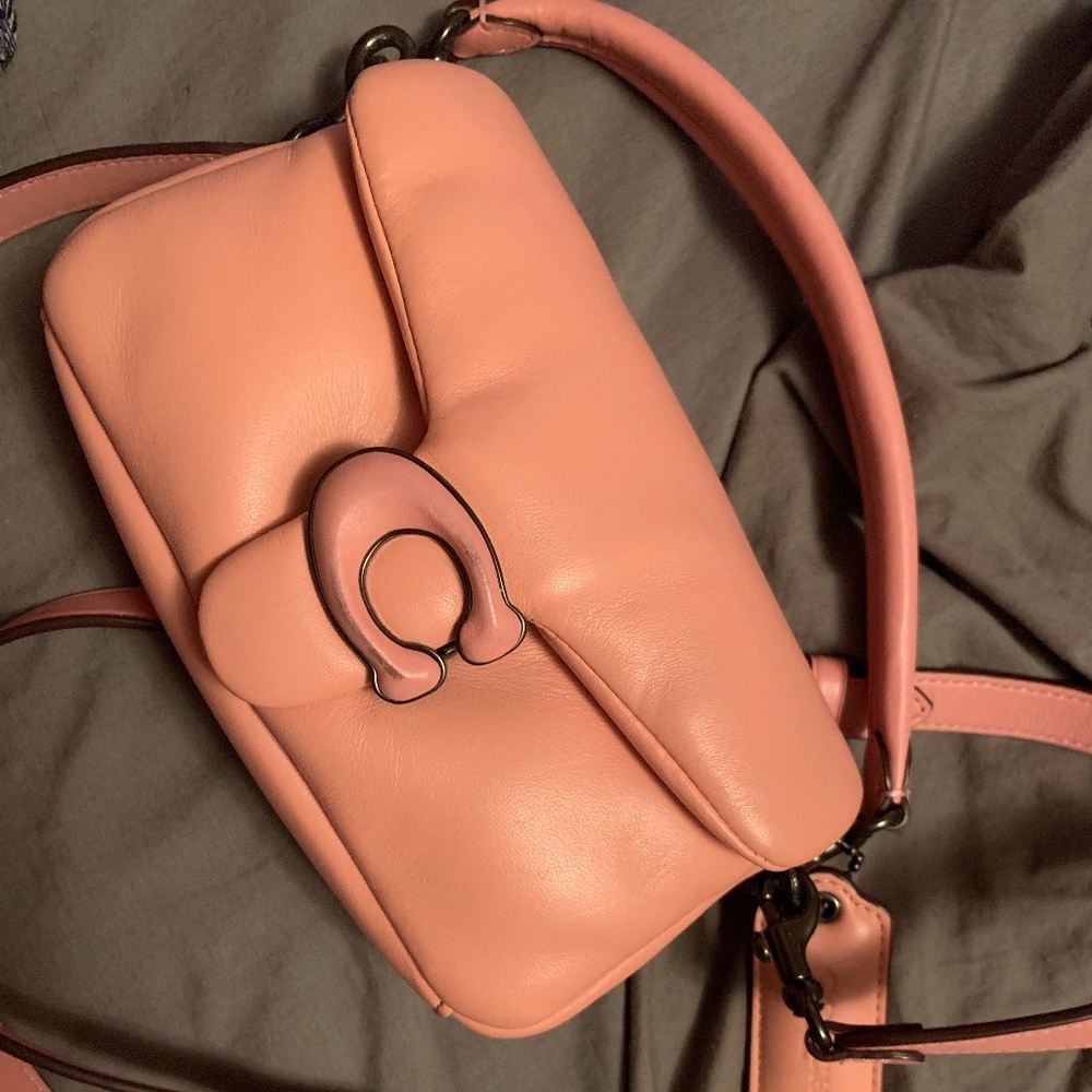 coach pillow tabby 18